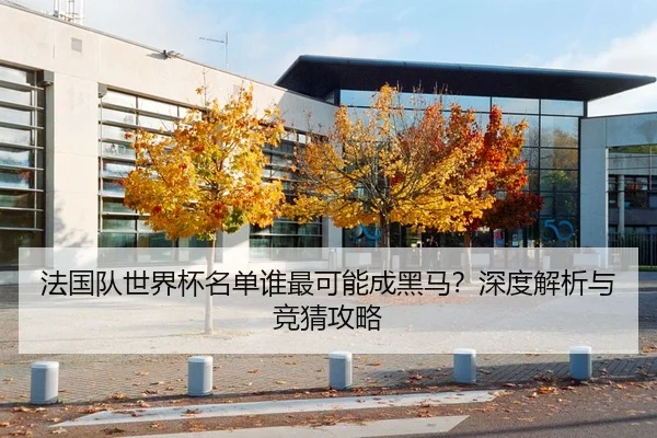 法国队世界杯名单谁最可能成黑马？深度解析与竞猜攻略